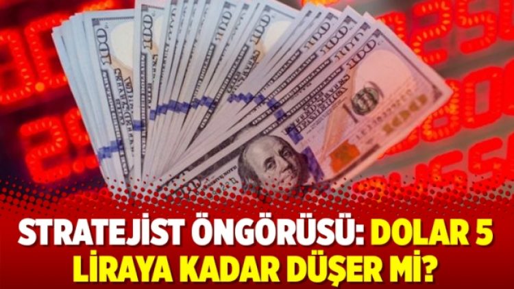 Stratejist öngörüsü: Dolar 5 liraya kadar düşer mi?