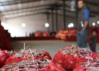 Soğan üreticileri: Depo baskınlarını şaşkınlıkla izliyoruz