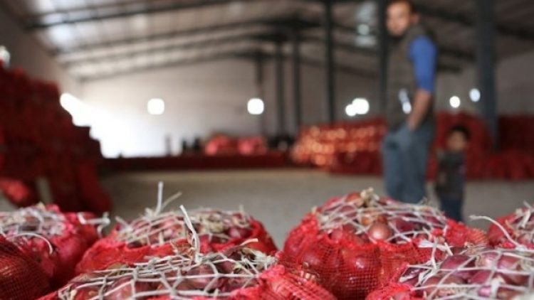 Soğan üreticileri: Depo baskınlarını şaşkınlıkla izliyoruz