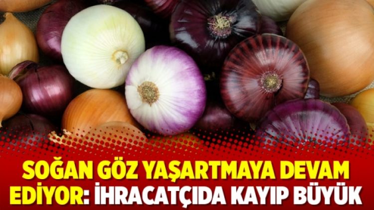 Soğan göz yaşartmaya devam ediyor: İhracatçıda kayıp büyük