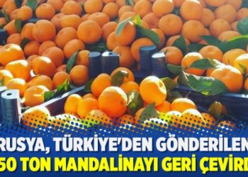 Rusya, Türkiye’den gönderilen 550 ton mandalinayı geri çevirdi