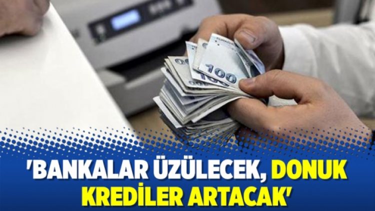 ‘Bankalar üzülecek, donuk krediler artacak’