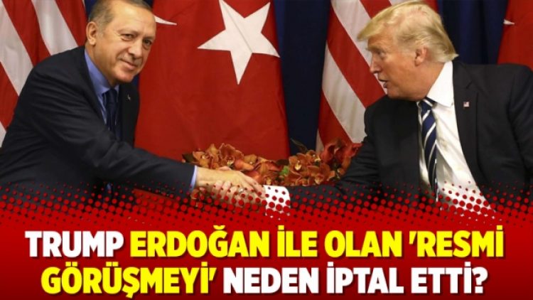 Trump Erdoğan ile olan ‘resmi görüşmeyi’ neden iptal etti?