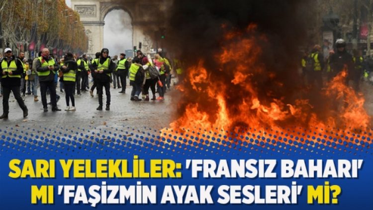 Sarı Yelekliler: ‘Fransız Baharı’ mı ‘faşizmin ayak sesleri’ mi?