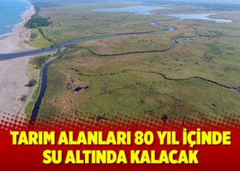 Tarım alanları 80 yıl içinde su altında kalacak