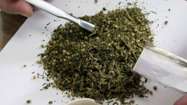 Lüksemburg, esrarı tamamen serbest bırakıyor