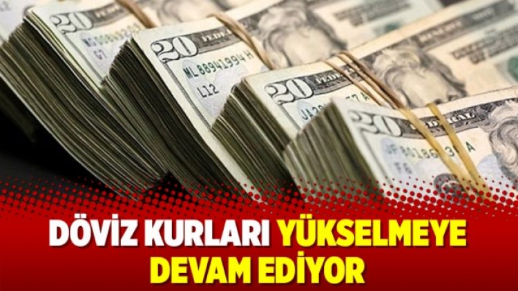 Döviz kurları yükselmeye devam ediyor