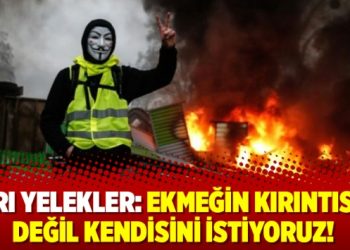 Sarı Yelekler: Ekmeğin kırıntısını değil kendisini istiyoruz!