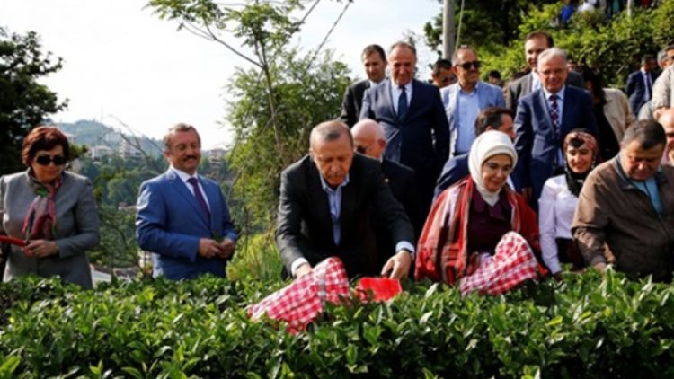 ‘Çaykur’u yok pahasına Araplara satmak istiyorlar’