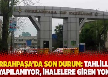 Cerrahpaşa’da son durum: Tahliller yapılamıyor, ihalelere giren yok