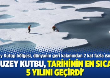 ‘Kuzey Kutbu, tarihinin en sıcak 5 yılını geçirdi’