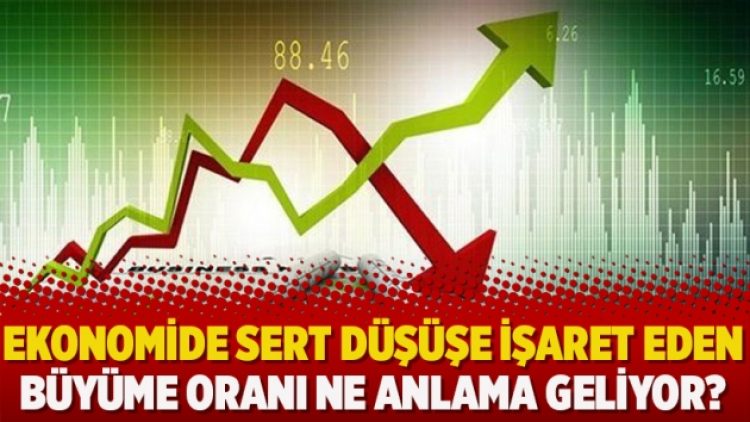 Ekonomide sert düşüşe işaret eden büyüme oranı ne anlama geliyor?
