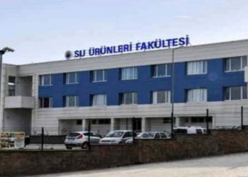 Her öğrenciye 1 profesör düşen fakülte