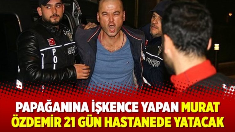 Papağanına işkence yapan Murat Özdemir 21 gün hastanede yatacak