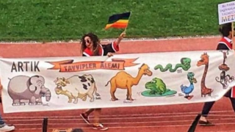 Tayyipler Alemi karikatürü fezlekelik oldu