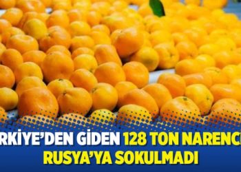 Türkiye’den giden 128 ton narenciye Rusya’ya sokulmadı