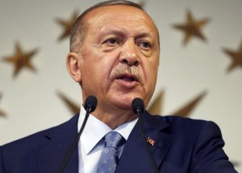 YSK ‘başkana serbest’ dedi