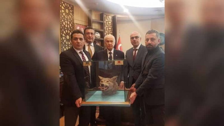 Bahçeli’ye doğum günü hediyesi: Kurt kafası