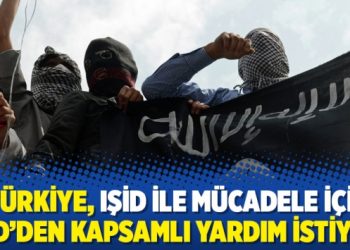 ‘Türkiye, IŞİD ile mücadele için ABD’den kapsamlı yardım istiyor’