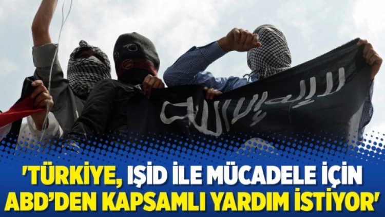 ‘Türkiye, IŞİD ile mücadele için ABD’den kapsamlı yardım istiyor’