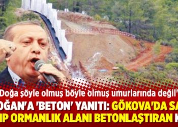 Erdoğan’a ‘beton’ yanıtı: Gökova Körfezi’nde saray yapıp ormanlık alanı betonlaştıran kim?