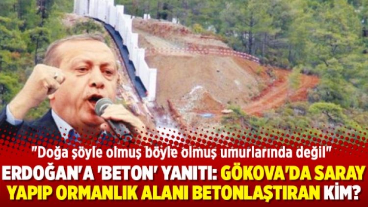Erdoğan’a ‘beton’ yanıtı: Gökova Körfezi’nde saray yapıp ormanlık alanı betonlaştıran kim?