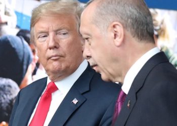 Erdoğan ve Trump “güvenli bölge” planını görüştü