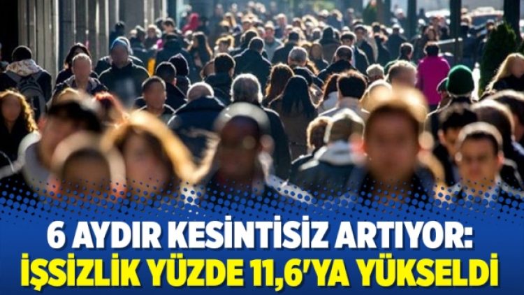 6 aydır kesintisiz artıyor: İşsizlik yüzde 11,6’ya yükseldi