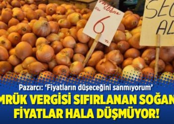 Gümrük vergisi sıfırlanan soğanda fiyatlar hala düşmüyor!