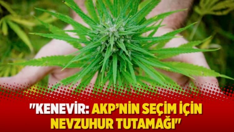 “Kenevir: AKP’nin seçim için nevzuhur tutamağı”