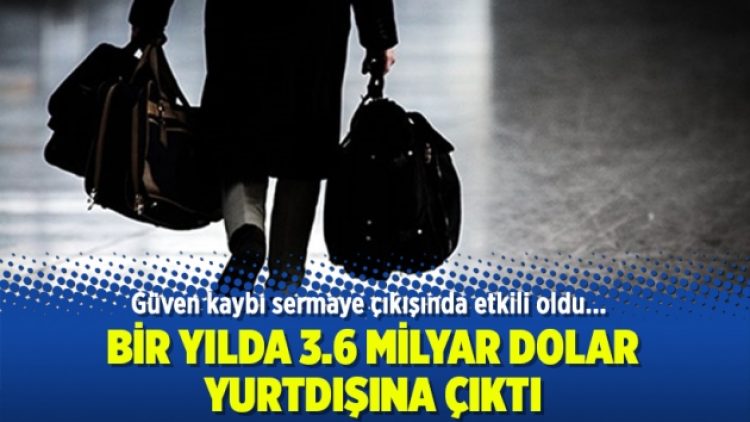 Bir yılda 3.6 milyar dolar yurtdışına çıktı