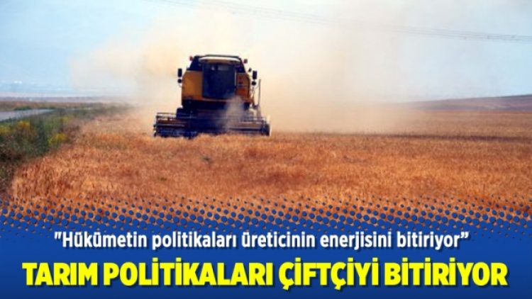 Tarım politikaları çiftçiyi bitiriyor