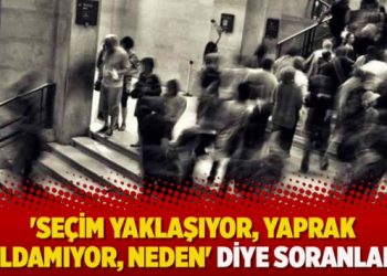 ‘Seçim yaklaşıyor, yaprak kımıldamıyor, neden’ diye soranlara…