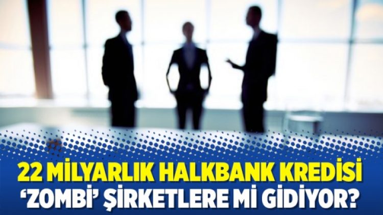 22 milyarlık Halkbank kredisi ‘zombi’ şirketlere mi gidiyor?