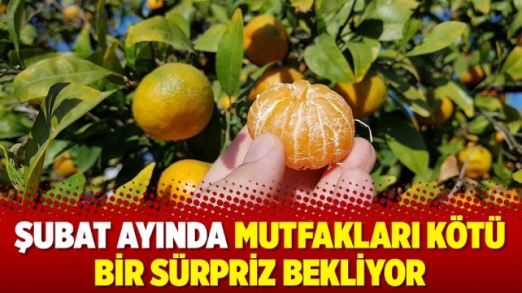 Şubat ayında mutfakları kötü bir sürpriz bekliyor