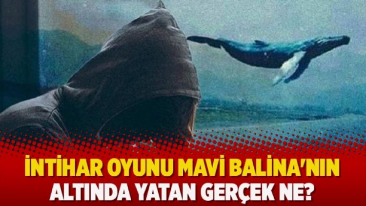 İntihar oyunu Mavi Balina’nın altında yatan gerçek ne?