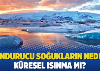 Dondurucu soğukların nedeni küresel ısınma mı?