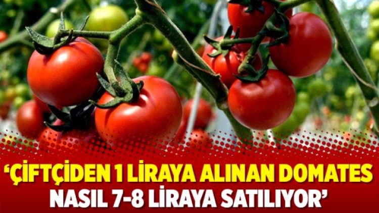 ‘Çiftçiden 1 liraya alınan domates nasıl 7-8 liraya satılıyor’