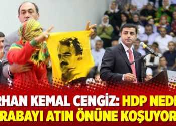 Orhan Kemal Cengiz: HDP neden arabayı atın önüne koşuyor?