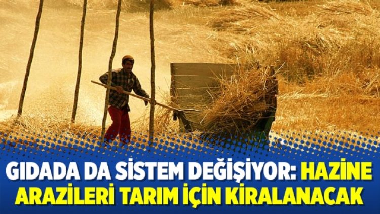Gıdada da sistem değişiyor: Hazine arazileri tarım için kiralanacak