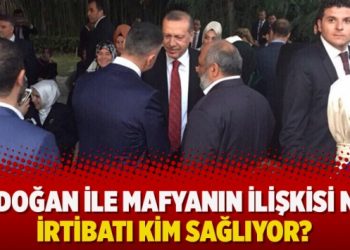 Erdoğan ile mafyanın ilişkisi ne? İrtibatı kim sağlıyor?