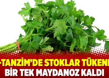 ‘E-tanzim’de stoklar tükendi, bir tek maydanoz kaldı