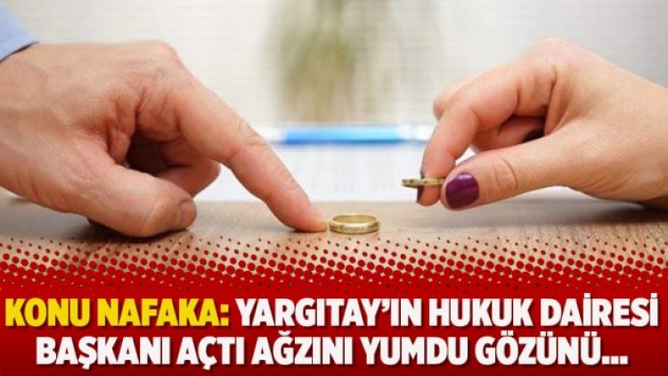 Konu nafaka: Yargıtay’ın hukuk dairesi başkanı açtı ağzını yumdu gözünü…
