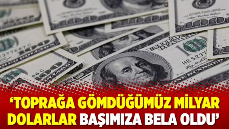 ‘Toprağa gömdüğümüz milyar dolarlar başımıza bela oldu’
