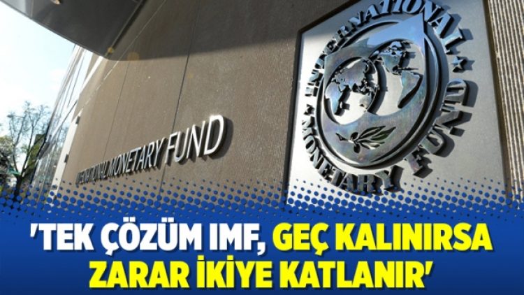 ‘Tek çözüm IMF, geç kalınırsa zarar ikiye katlanır’