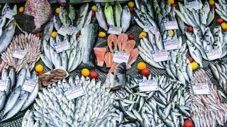 Balıkçıklar da tanzim satış istiyor