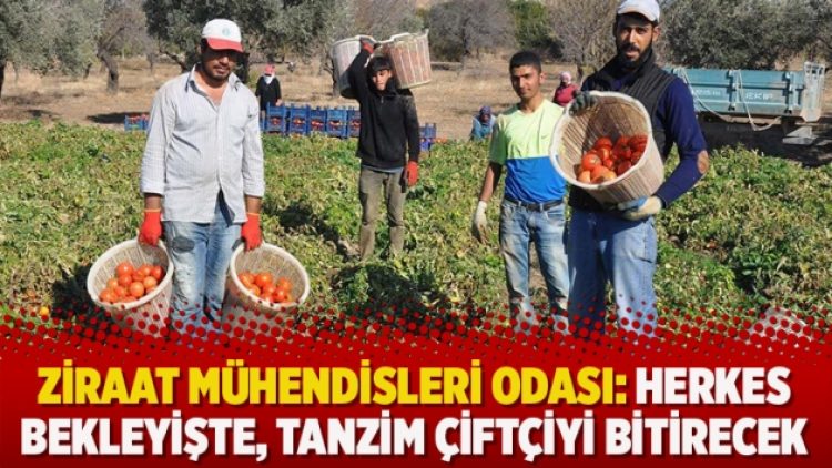 Ziraat Mühendisleri Odası: Herkes bekleyişte, tanzim çiftçiyi bitirecek