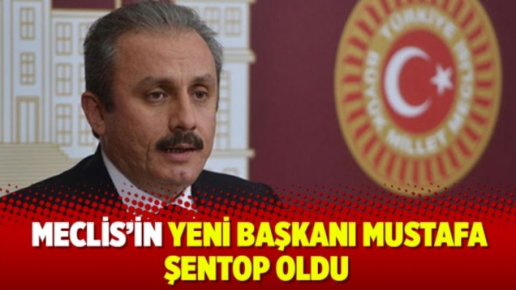 29’uncu dönem Meclis Başkanı Mustafa Şentop oldu