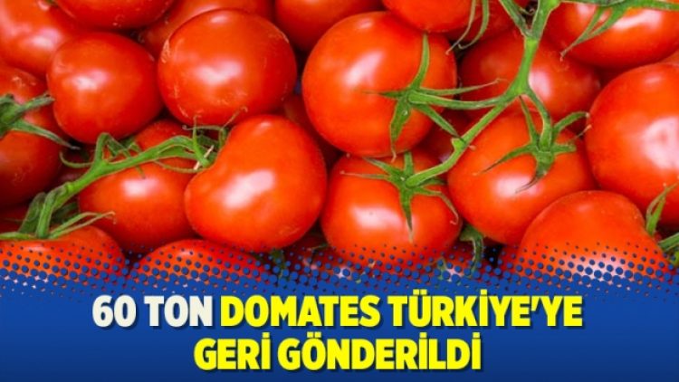 60 ton domates Türkiye’ye geri gönderildi