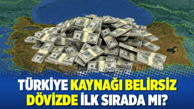 Türkiye kaynağı belirsiz dövizde ilk sırada mı?